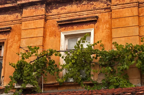 Starý Vinobraní Dacayed Zanedbaný Fasáda Budovy Detailní Zataženo Den — Stock fotografie