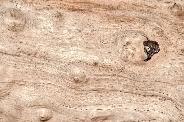 Barkless Drzewo Drewniana Powierzchnia Zbliżenie Jako Drewniane Tło — Zdjęcie stockowe