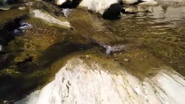 Ormandaki küçük temiz dağ deresi