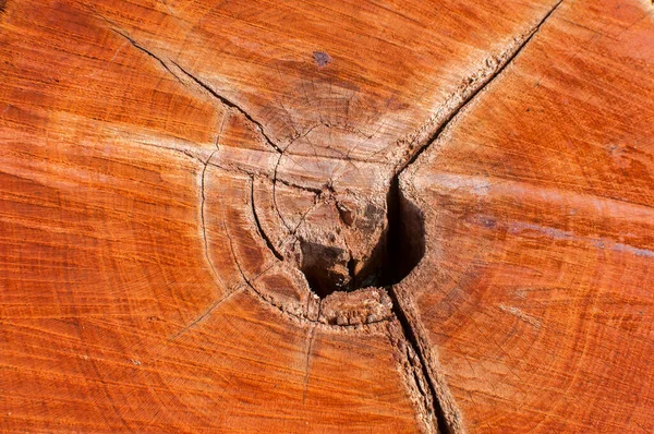 Ciruela Superficie Cortada Primer Plano Como Fondo Textura Madera —  Fotos de Stock