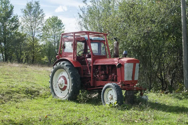 Oldtimer Traktor Bei Sonnigem Wetter Auf Bauernhof Wiese — Stockfoto