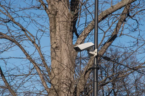Security camera in public city park