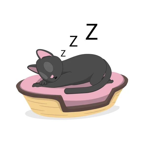 Chat Dort Dans Panier Chat Gris Dans Panier Confortable — Image vectorielle