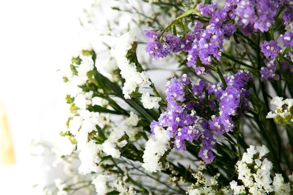 Маленькі Біло Фіолетові Квіти Саду — стокове фото
