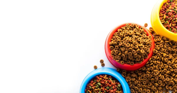 Tazón Plástico Lleno Comida Seca Para Perros Aislado Sobre Fondo — Foto de Stock