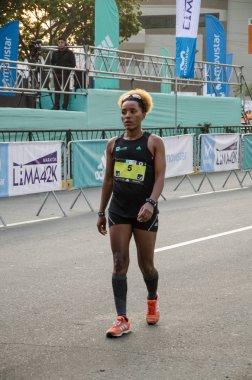 Maraton Lima 42k