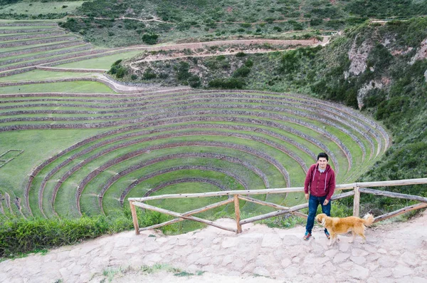 Landwirtschaftliche Terrassen im heiligen Tal. Tourist mit Muränen-Hintergrund in Cusco, heiliges Tal, Peru — Stockfoto