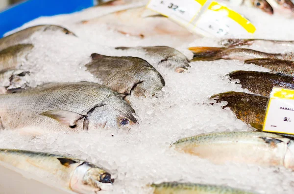 Färska skaldjur på is på fiskmarknaden — Stockfoto