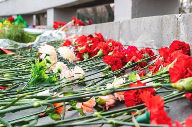 bir sürü karanfil düşmüş asker için Memorial'dan mermer döşeme arka planı kırmızı çiçek