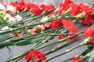 Mermer plaka üzerinde düşmüş asker anısına kırmızı karanfiller koydu