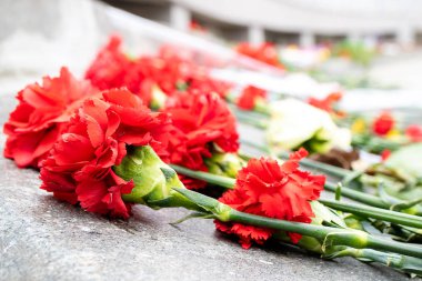 karanfil çiçek mermer bir levha üzerinde arka plan mermer ölü onuruna tabaka.