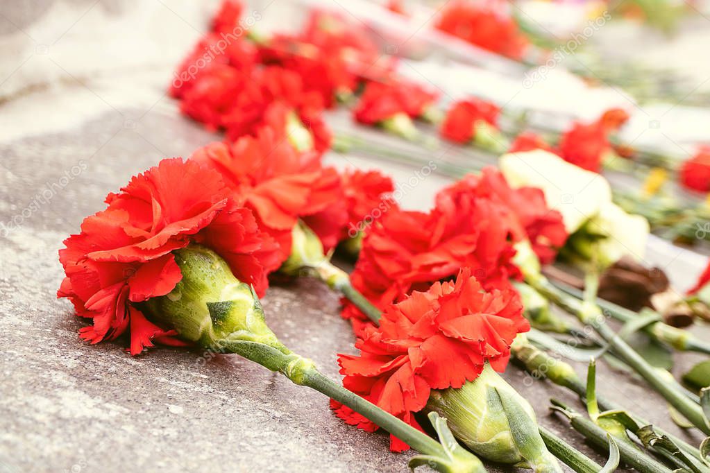 on a plate of marble there are carnations of red color, memory of the fallen soldiers
