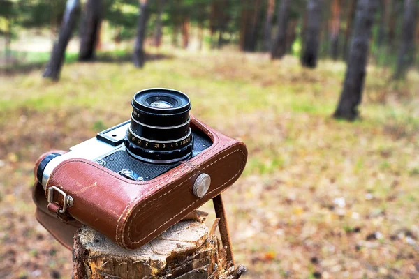 Estuche Abierto Una Cámara Cuero Árbol Talado Bosque Pinos Una — Foto de Stock