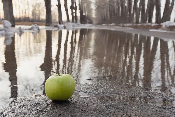 Asphaltbelag Mit Wasser Überflutet Rande Des Apfels Grün Frühling Der — Stockfoto