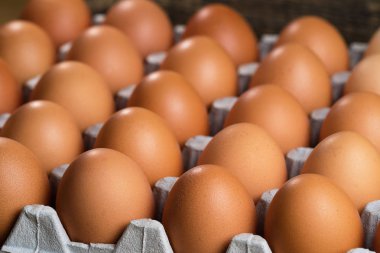 Tavuk yumurtası yalan bir substrat yumurta, üzerinde kahverengi yumurta üzerinde özel bir substrat dizilir