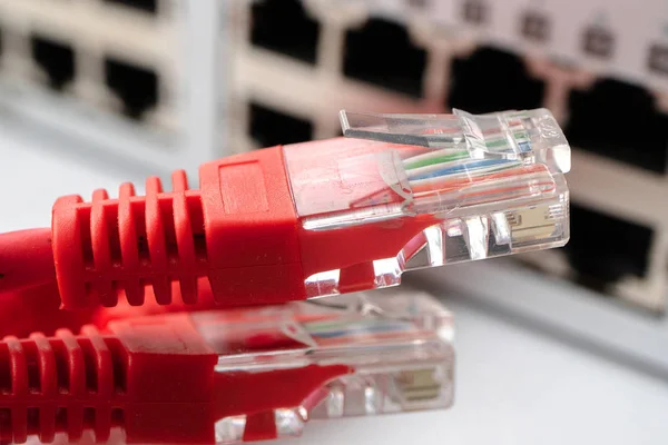 没有连接的红色电缆位于互联网提供商的交换机附近 很多红颜色的补丁线 — 图库照片