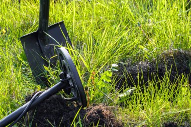 yeşil çim hazine avcısı araçları, metal dedektörü ve kürek