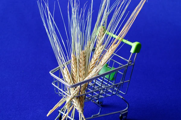 Bohça Buğday Bir Alışveriş Arabası Yerleştirilir Arka Plan Mavi — Stok fotoğraf