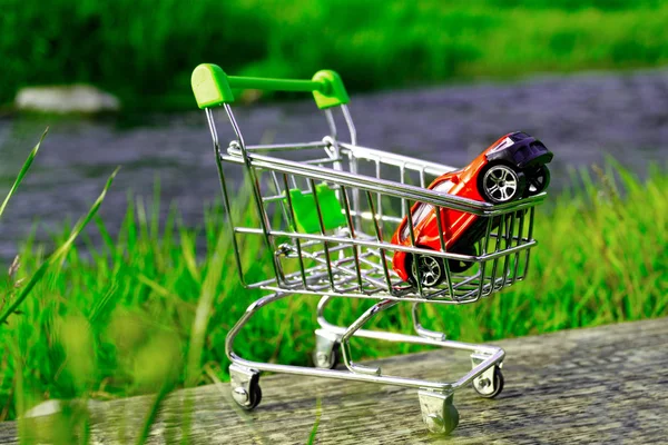 红色玩具车在一个购物篮的背景下 绿色的草和自然 购买汽车时的自然保护概念 — 图库照片