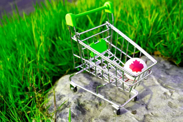 Carrito Compras Que Una Bola Goma Con Una Hoja Arce — Foto de Stock