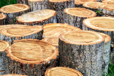 kesim uzunluğu yöntemi ağaçları yakacak odun kavak yakacak odun ile Isıtma için