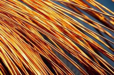 çok sayıda eğri yay, bakır virajlı soyutlama parlak bakır teller