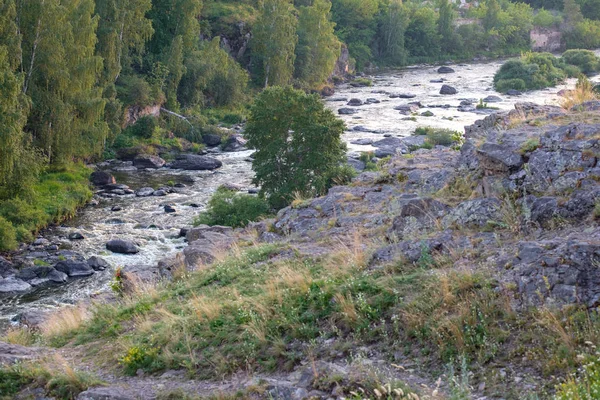 Paisagem Montanha Rio Correndo Longo Das Margens Rio Meio Cresce — Fotografia de Stock