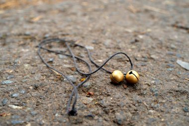 yerde, yerde yatan bir ip üzerinde iki çanları Çam iğneleri ile mayınları