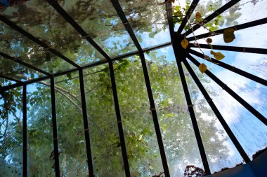 cam vitrin eski tip yaprakları ve enkaz onu çatıya bir cam vitrin şeklinde üzerinde kirli