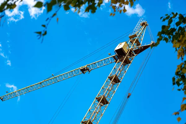 Foreground Blurred Tree Branches Background Tower Crane Operation Blue Sky — Stock Photo, Image