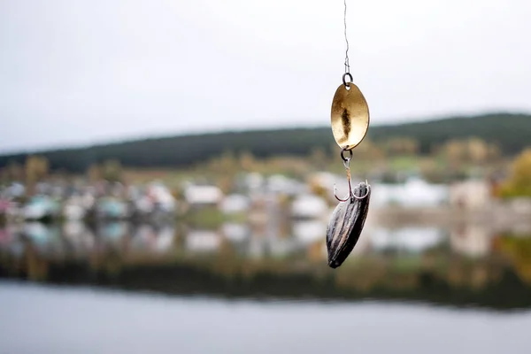 Balıkçılık Cazibesine Pearl Arpa Yerine Balık Yakaladı Arka Plan Bulanık — Stok fotoğraf