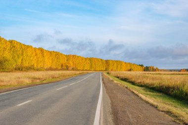 yellow autumn forest and road with markings, against the blue cloudy sky