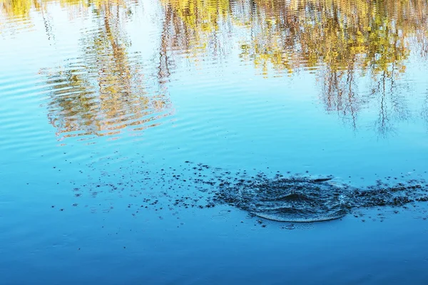 Éclaboussure Objet Abandonné Dans Rivière Reflétant Les Arbres Automne Dans — Photo