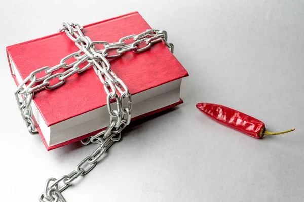 Libro Atado Con Cadena Pimiento Rojo Sobre Fondo Gris — Foto de Stock
