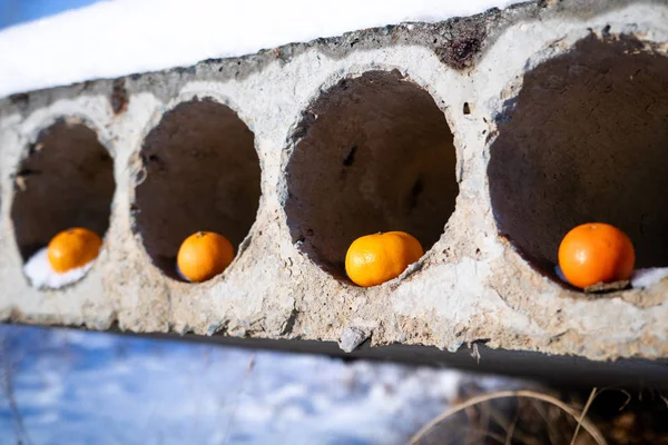 Hay cuatro agujeros en la losa de hormigón y cada uno contiene una naranja —  Fotos de Stock