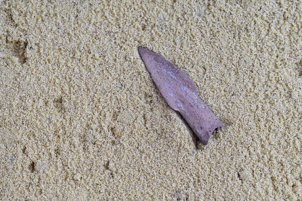 Punta vintage della freccia sdraiata sulla sabbia umida e gialla — Foto Stock
