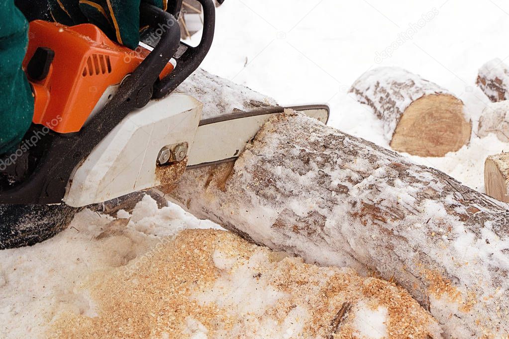log wood sawing with a chain saw in winter
