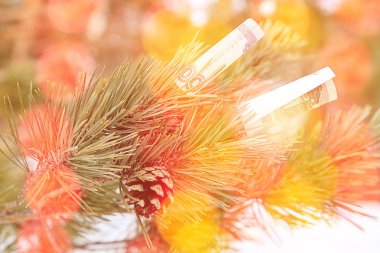 banknotlar ile parlak vurgular şube ile renkli