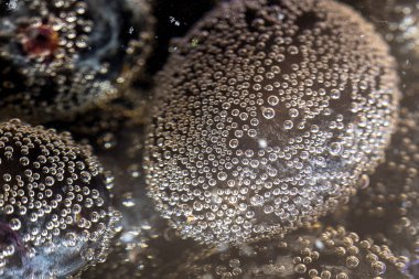 üzüm meyveleri onları kabarcıklar üzerinde su batırılır, su meyveleri altında