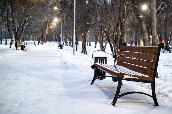 kışın Park ile tezgah kar bir sürü etrafında