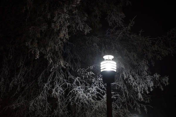 bright street lamp on a winter night illuminates