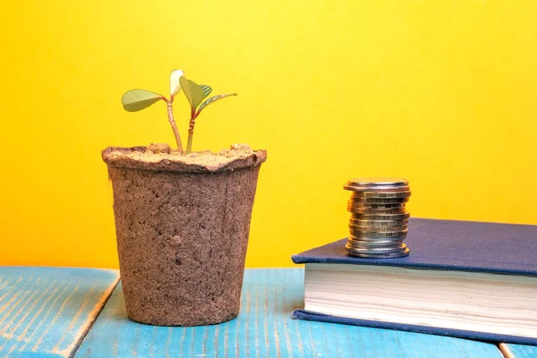 Sul tavolo sono un libro e una pentola con un fiore sul libro una pila di monete — Foto Stock