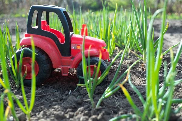 En el campo con brotes verdes es un tractor rojo, sembrado el campo con —  Fotos de Stock