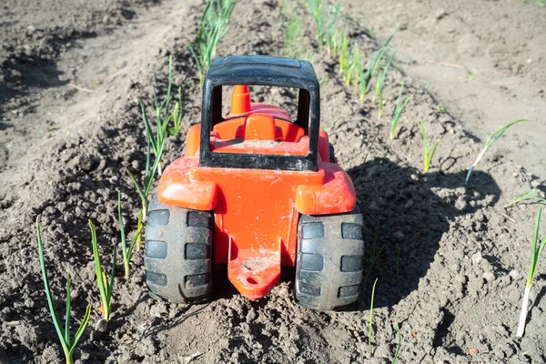 Tractor de juguete entre plantas verdes en el campo para la agricultura —  Fotos de Stock