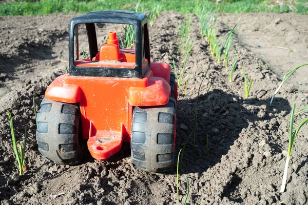 Tractor rojo con ruedas negras, coche de juguete en el campo —  Fotos de Stock