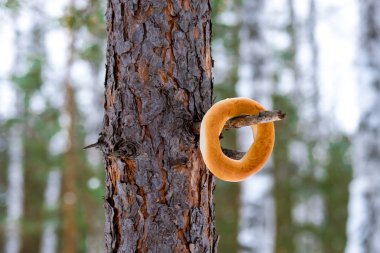 Rusya'da kullanılan şekerleme un yuvarlak şekli kışın bir ağaç dalı asılı bir simit denir