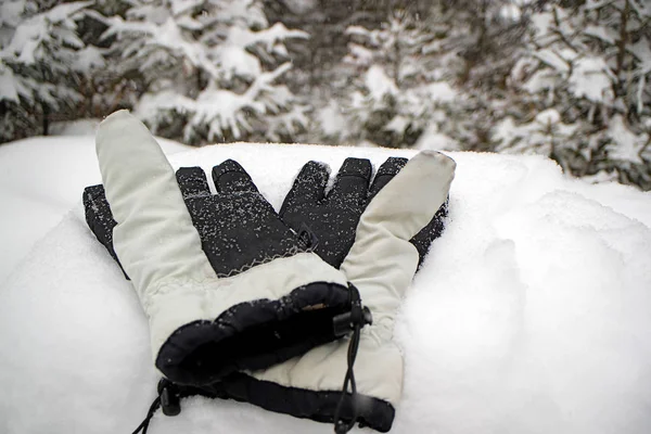 Перчатка белого цвета в снегу на фоне снежного леса — стоковое фото