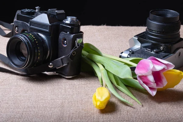 Cámara de película en el paño junto a los tulipanes de flores — Foto de Stock