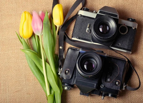 Tulipanes y dos cámaras en la tela — Foto de Stock
