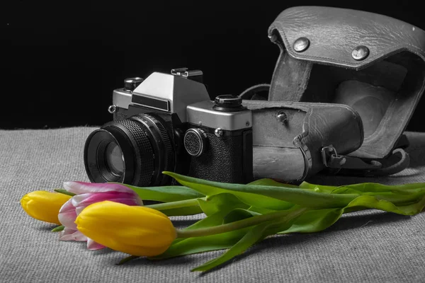 Foto en blanco y negro de la vieja máquina de película en la que las flores se representan en color — Foto de Stock